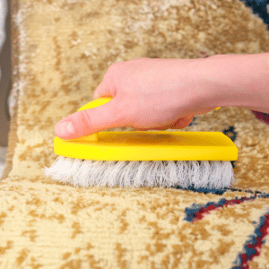 cleaned carpets service