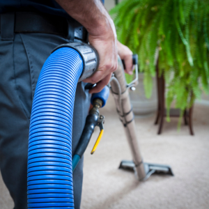 newcastle carpet cleaning
