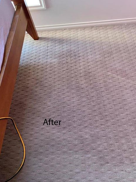 After Carpet Cleaning