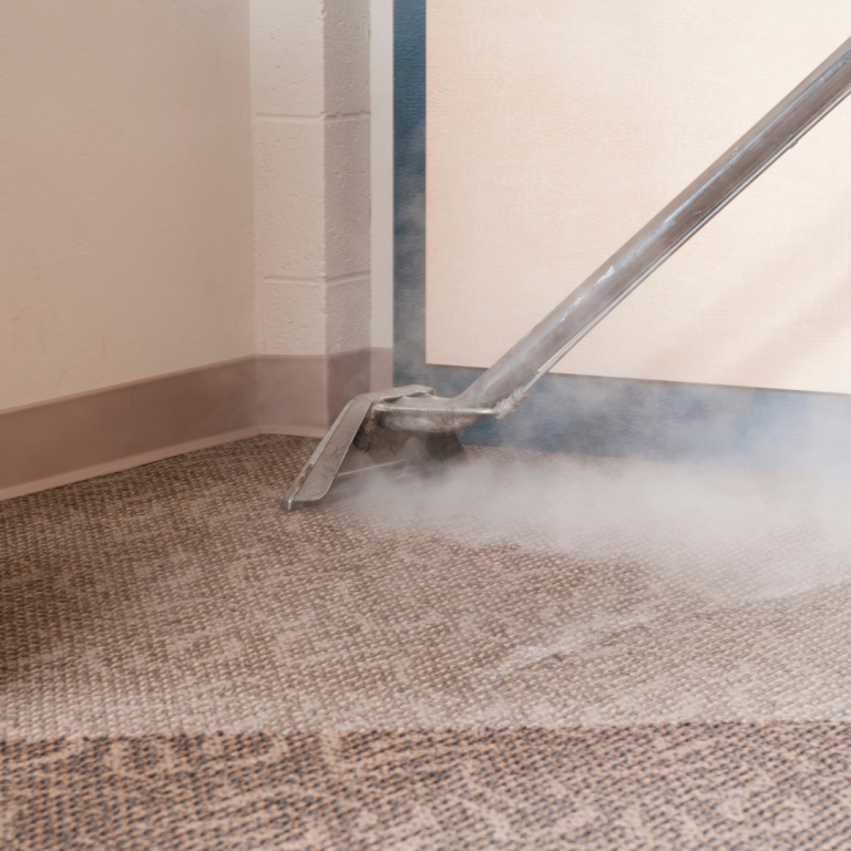 steam-clean-vs-carpet-cleaner-drymaster