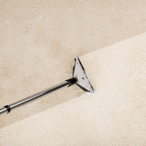 newcastle carpet cleaning