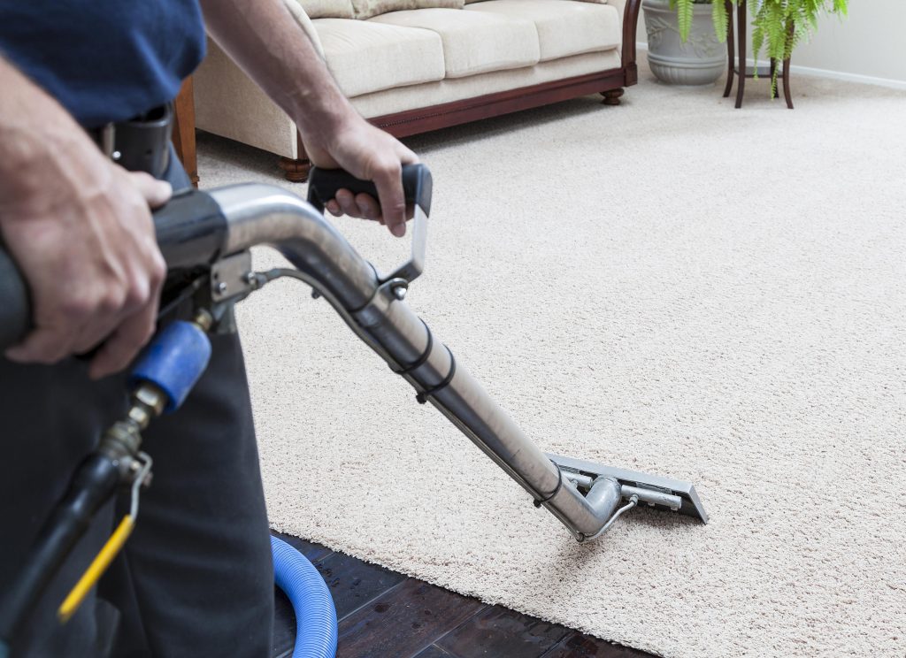 carpet cleaning hamilton