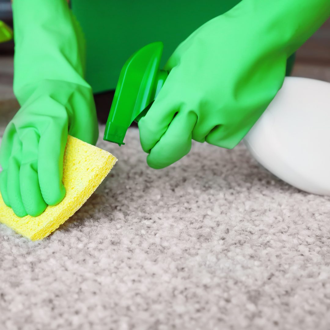Disinfect Carpets
