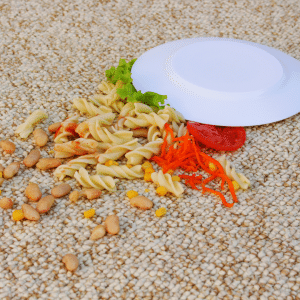 food on carpet