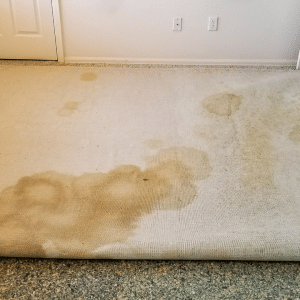 stains on carpet