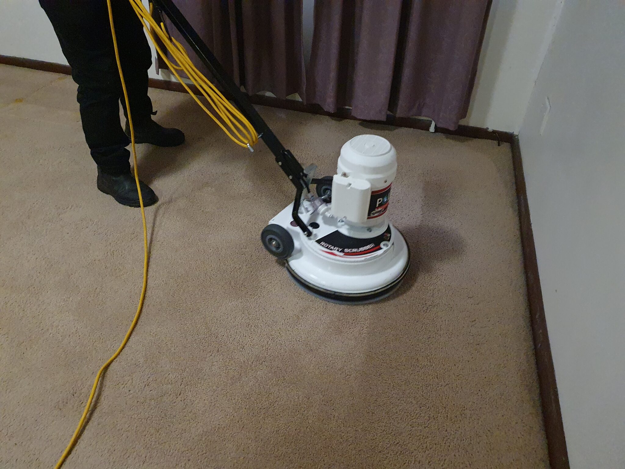 Carpet Cleaning Sunshine Coast Drymaster