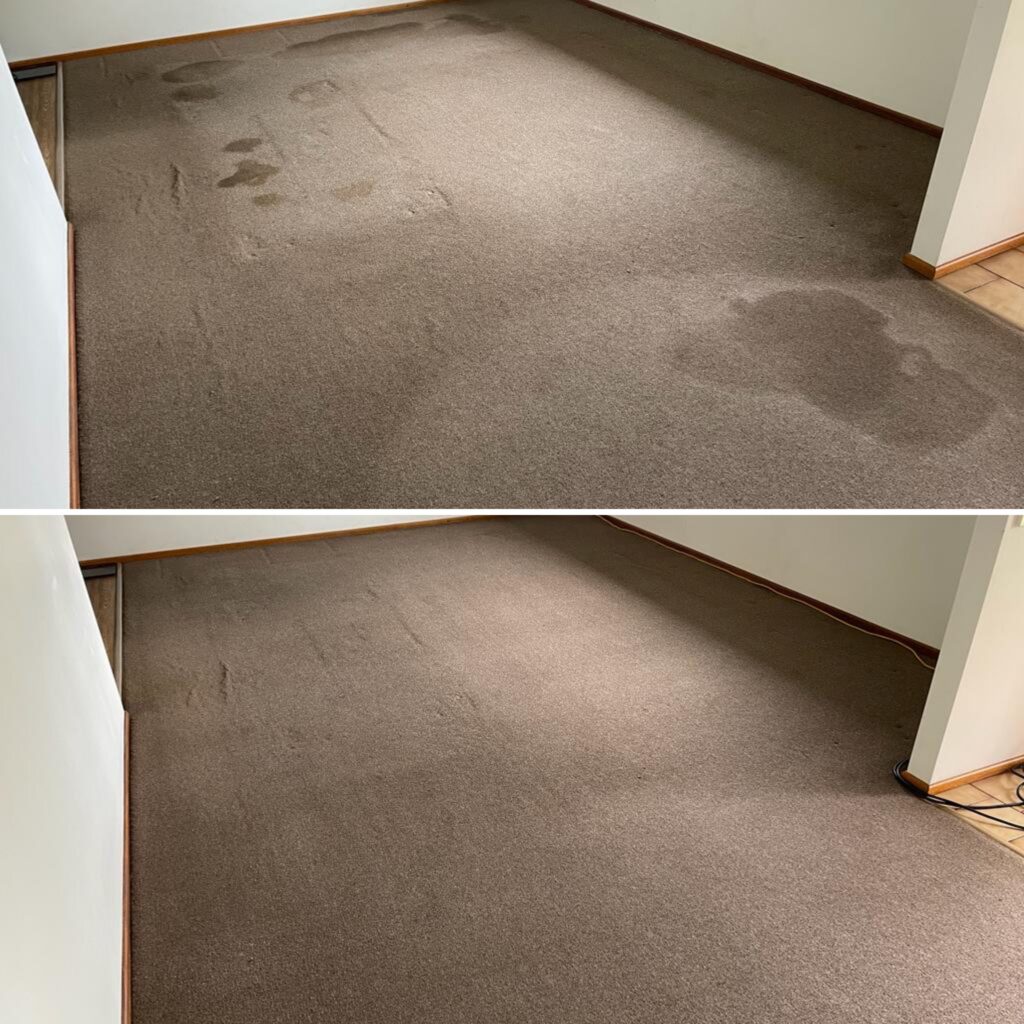 Carpet Stream Cleaning Brisbane Australia