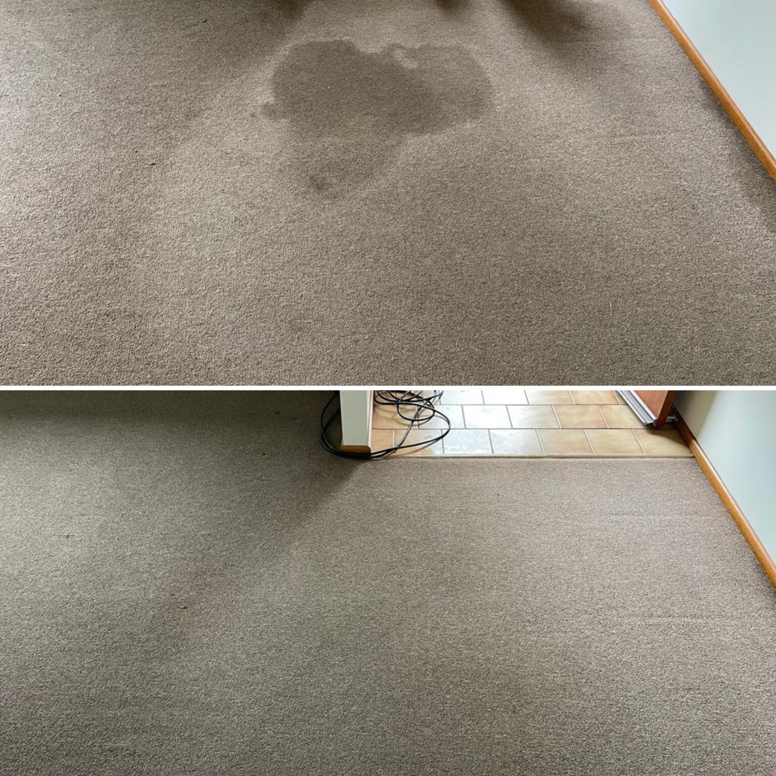Steam Clean Carpet Solutions Before & After Drymaster